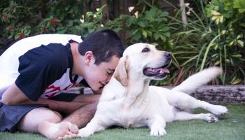 Boy with autism and his support dog