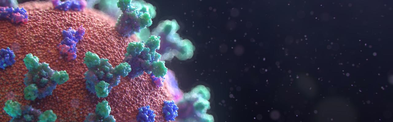 Visualisation of the Covid-19 virus